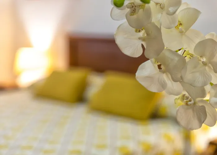 Carlotta Holiday home *